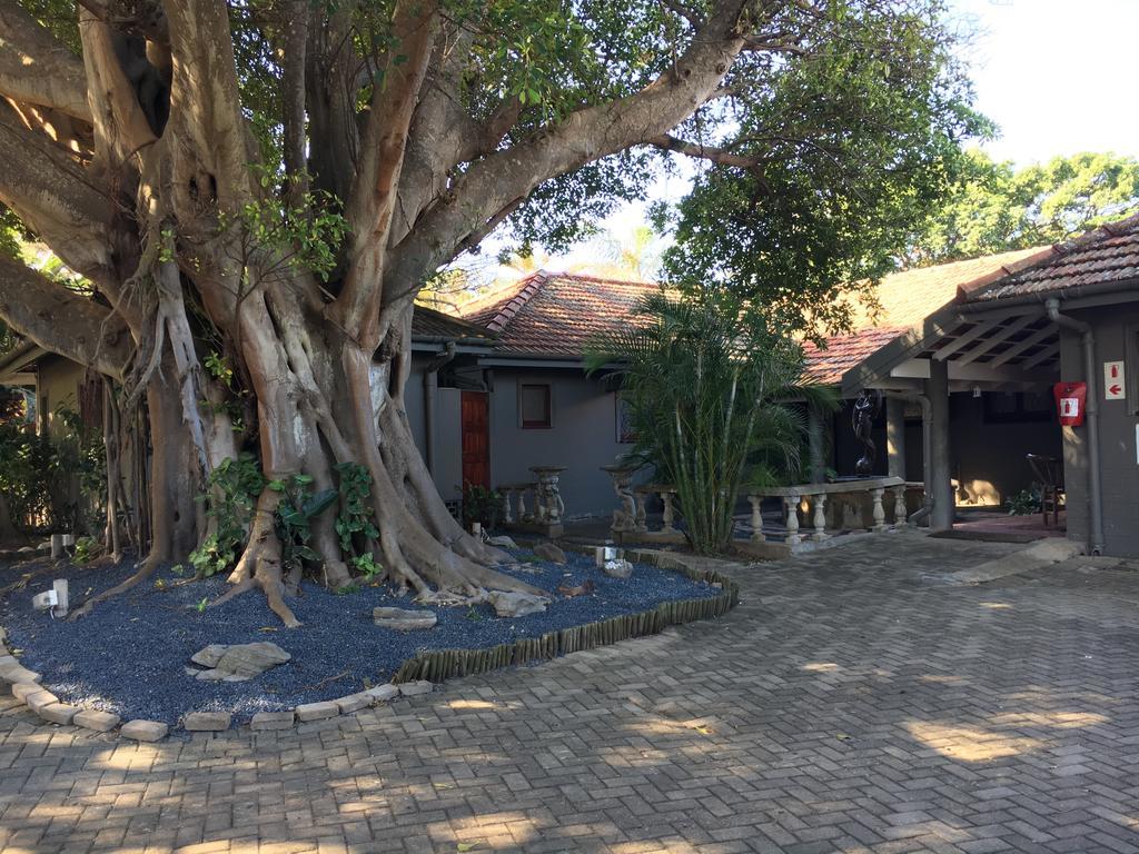 Tropical Beach Boutique Guesthouse Shelly Beach Exterior photo